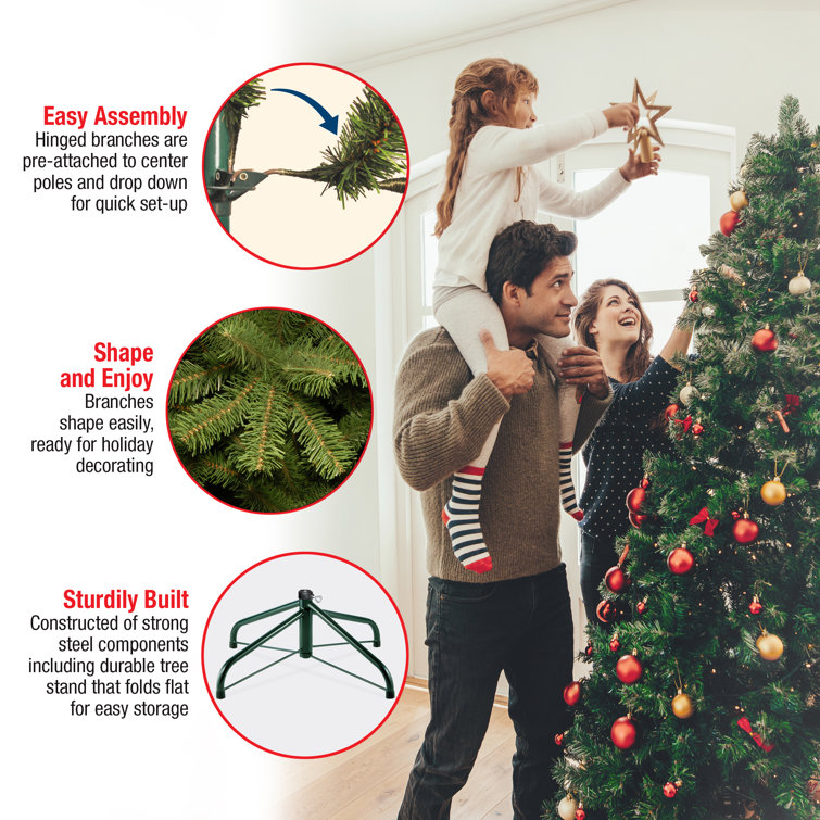 Frosted Dunhill Fir 7' White Lighted Outdoor Christmas Tree with Berries & Cones