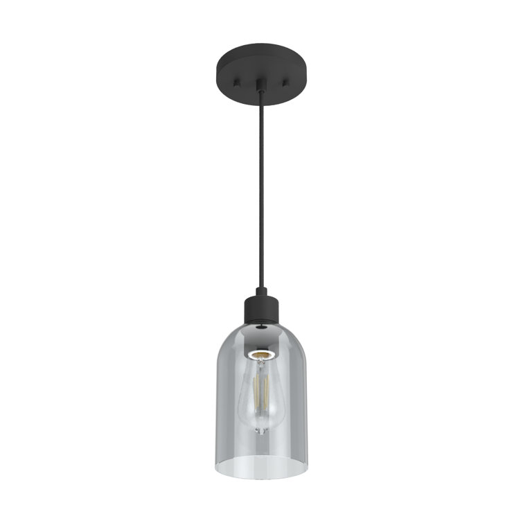 Lochemeade Smoked Glass Farmhouse Pendant Light in Natural Black Iron