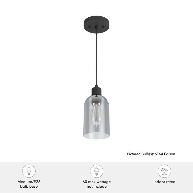 Lochemeade Smoked Glass Farmhouse Pendant Light in Natural Black Iron