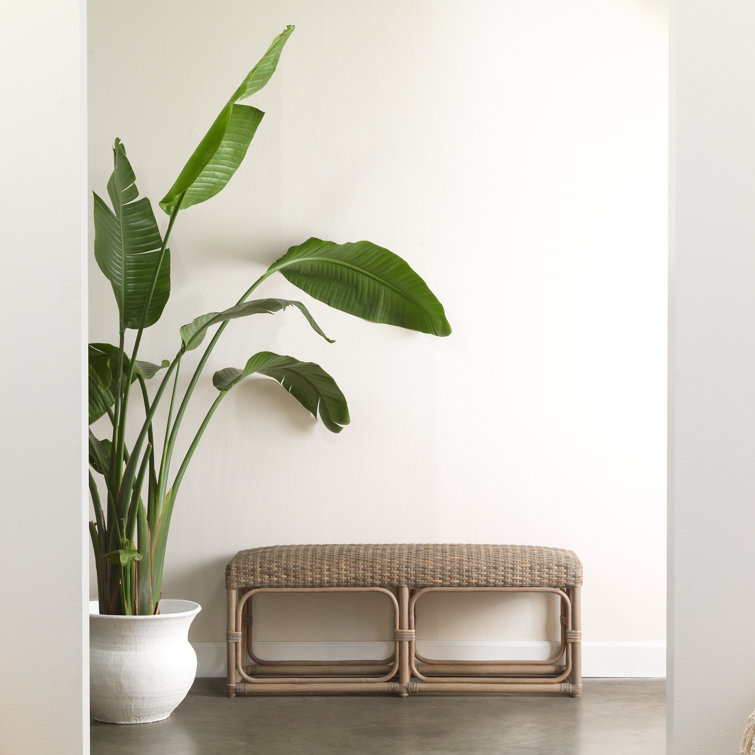 Coastal Comfort Taupe Rattan Bench with Light Wood Tone
