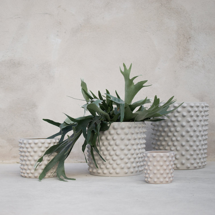 Cloudy Gray Beige Ceramic Indoor Planter, 9.84" H x 11.81" W