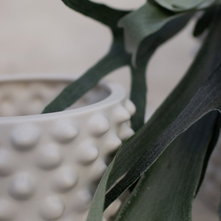 Cloudy Gray Beige Ceramic Indoor Planter, 9.84" H x 11.81" W