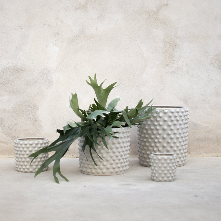 Cloudy Gray Beige Ceramic Indoor Planter, 9.84" H x 11.81" W