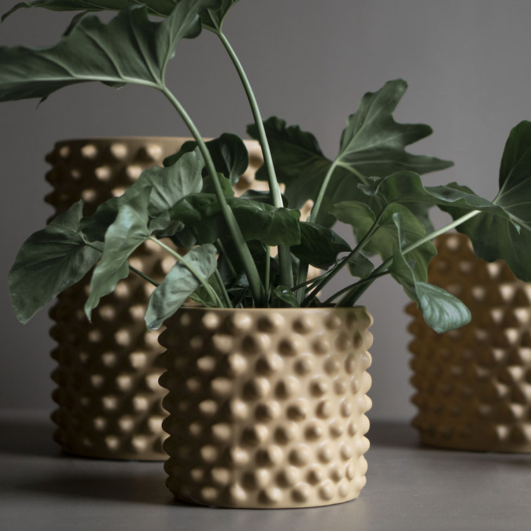 Gray Textured Ceramic Indoor Pot Planter