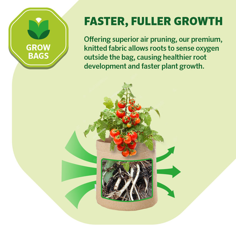 Steel Gray 5 Gallon Fabric Grow Bag with Handles