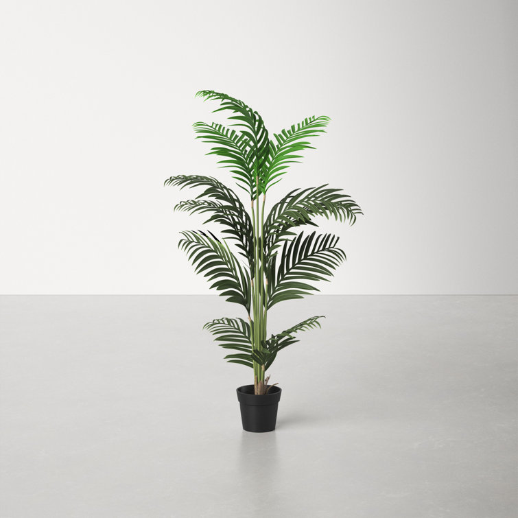 56'' Green Plastic Potted Artificial Palm Floor Plant