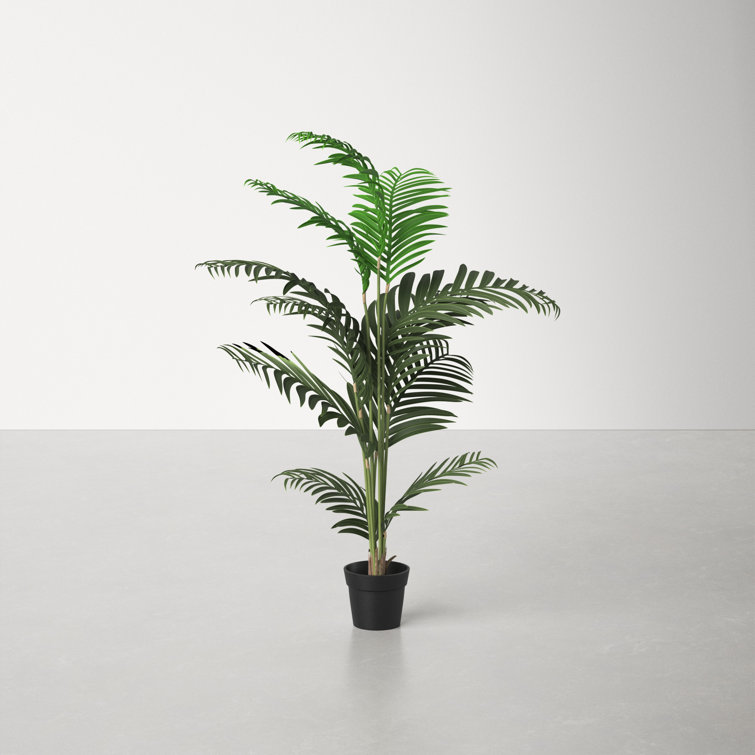 56'' Green Plastic Potted Artificial Palm Floor Plant