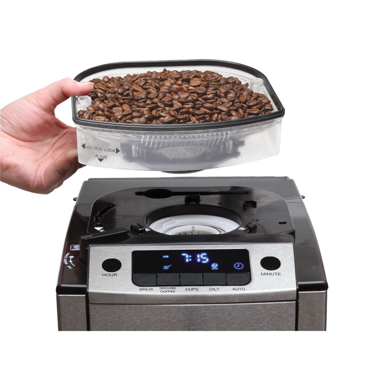 Stainless Steel 10-Cup Programmable Coffee Maker with Thermal Carafe