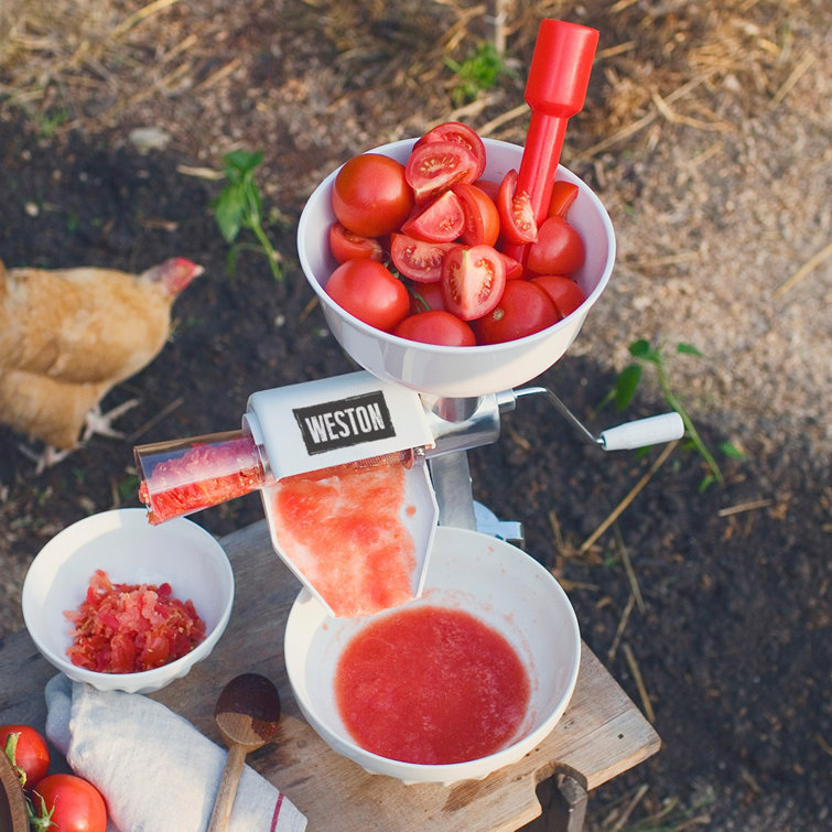 Stainless Steel Tomato Press with Food Strainer and Clamp