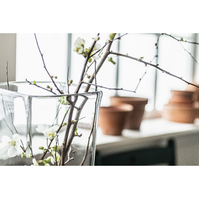 Large Clear Handblown Glass Square Vase