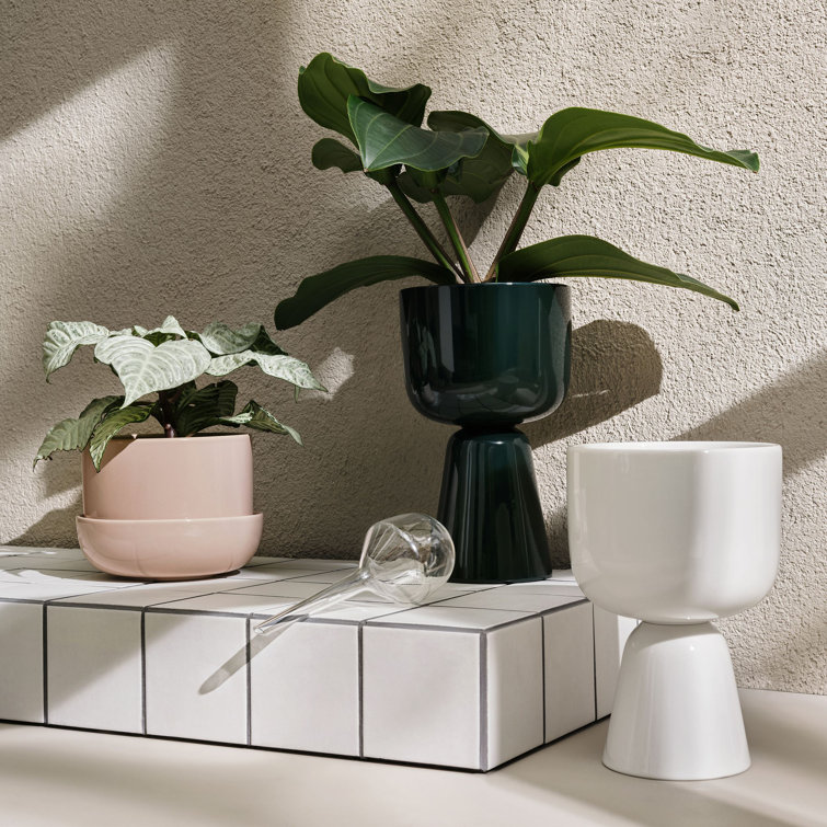 Scandinavian Matte White Ceramic Tabletop Planter, 11.81"