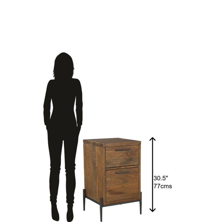 Transitional Mobile Legal Size 2-Drawer Brown File Cabinet