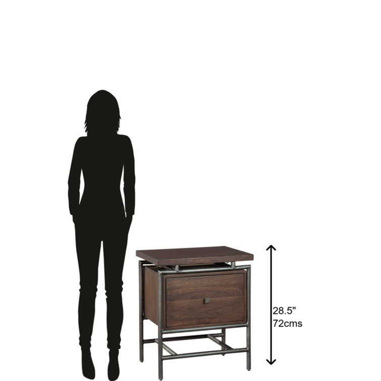 Glencoe Transitional 24" Black and Gray Mango Wood Mobile File Cabinet