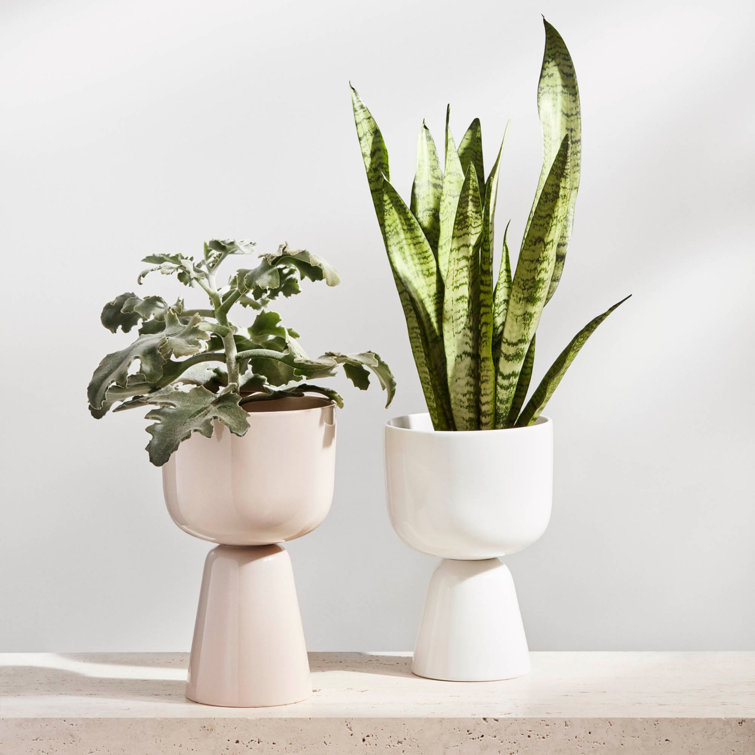 Scandinavian Matte White Ceramic Tabletop Planter, 11.81"