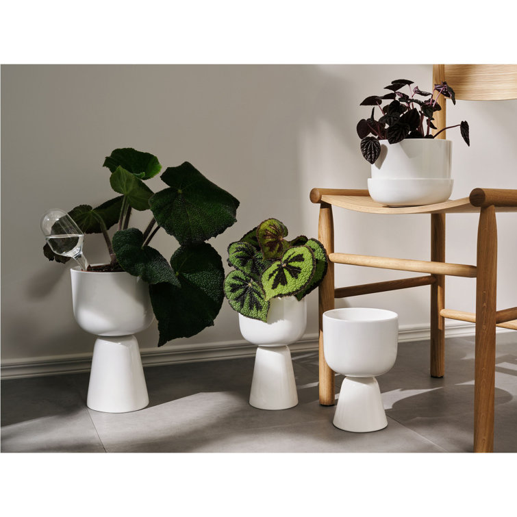 Scandinavian Matte White Ceramic Tabletop Planter, 11.81"