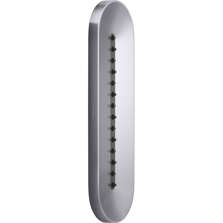 Polished Chrome Oval Single-Function Shower Body Spray
