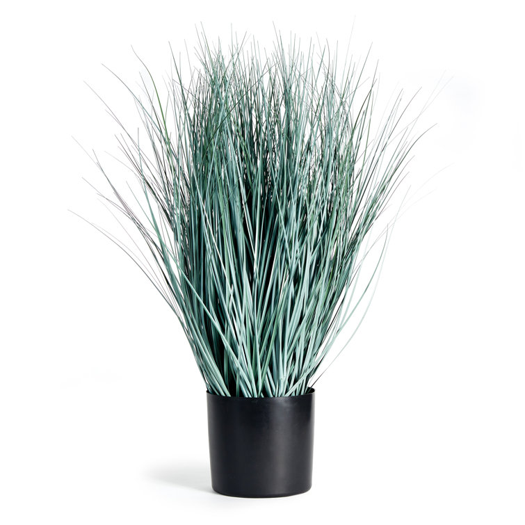 32'' Faux Blue Oat Grass in Black Round Pot