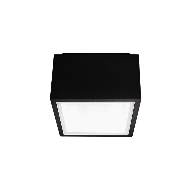 Black Aluminum LED Indoor/Outdoor Flush Mount Light
