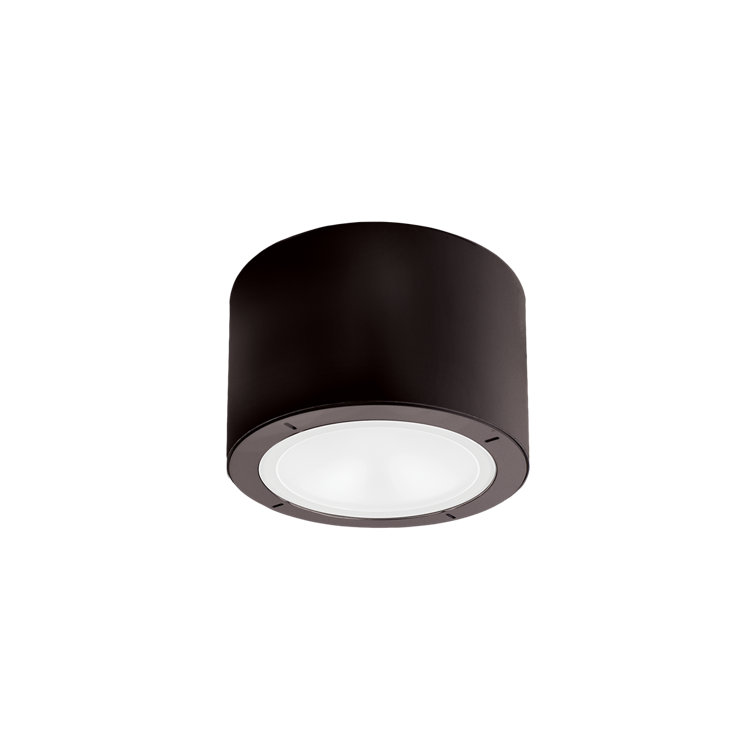 Bronze Silk Screened Glass LED Outdoor Flush Mount