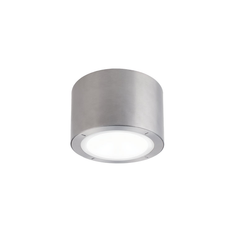 Brushed Aluminum LED Indoor/Outdoor Flush Mount Light