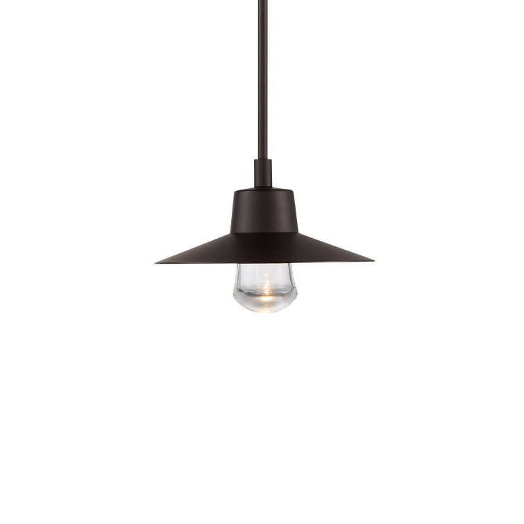 Suspense Bronze LED Outdoor Pendant with Mouth Blown Clear Glass