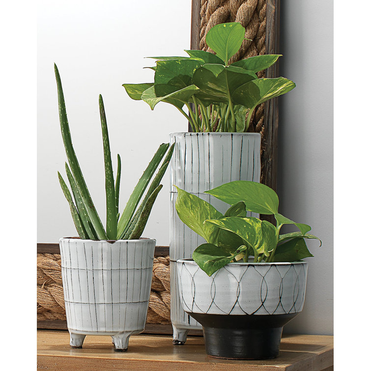Cream and Dark Grey Ceramic Vase Set with Textured Finish