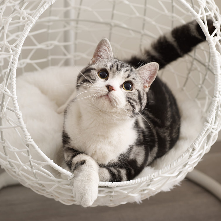 Medium White Rattan Hanging Egg Cat Bed