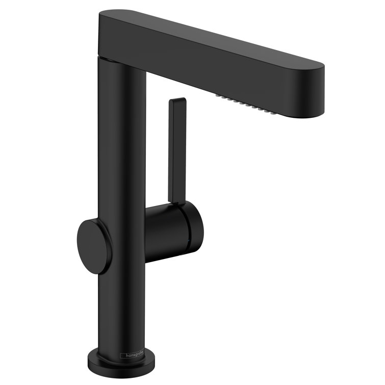 Modern Matte Black Single-Hole Faucet with Pull-Out Spray and Dual Jet Types