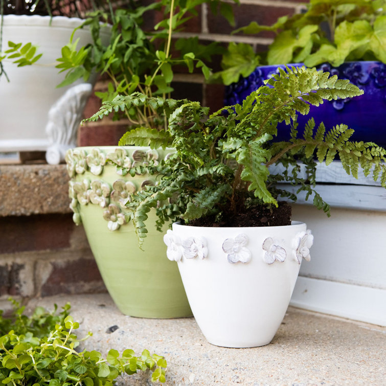 White Ceramic Handsculpted Medium Cachepot for Indoor/Outdoor Use