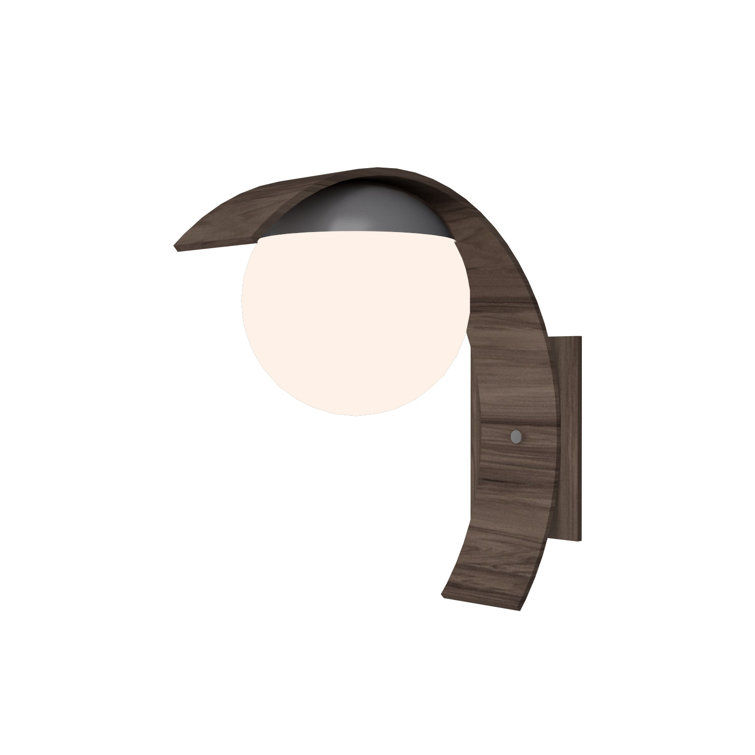 American Walnut Frosted Glass LED Wall Sconce