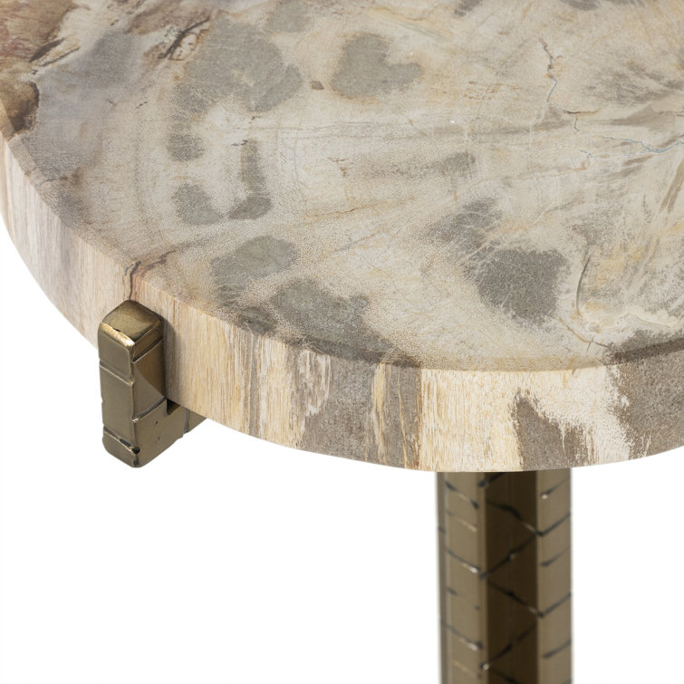 Casella 20'' Round Brass & Petrified Wood Side Table