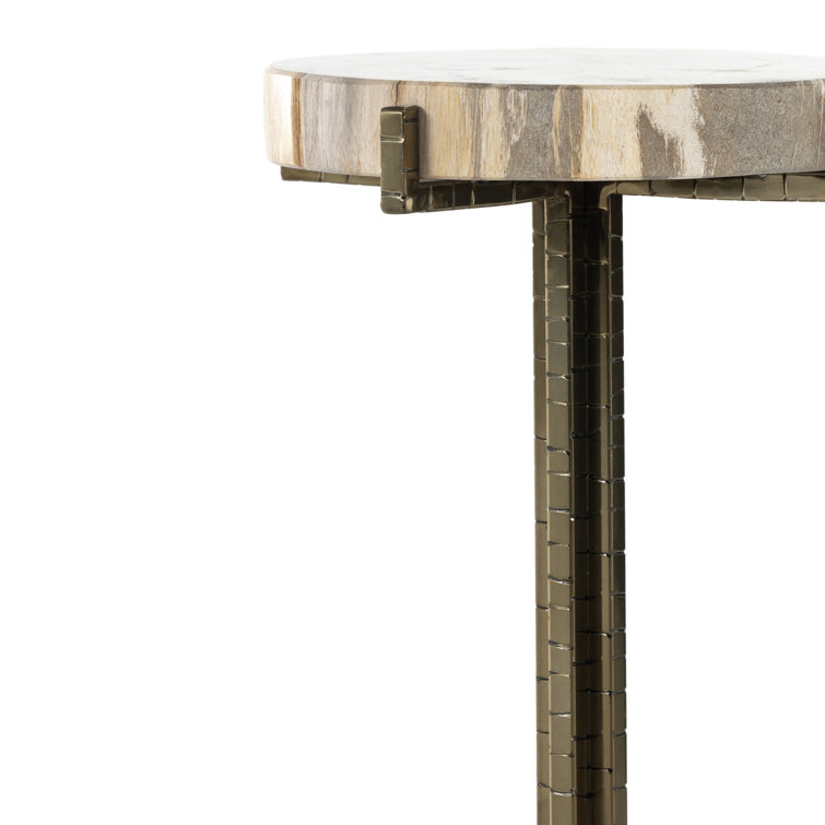 Casella 20'' Round Brass & Petrified Wood Side Table