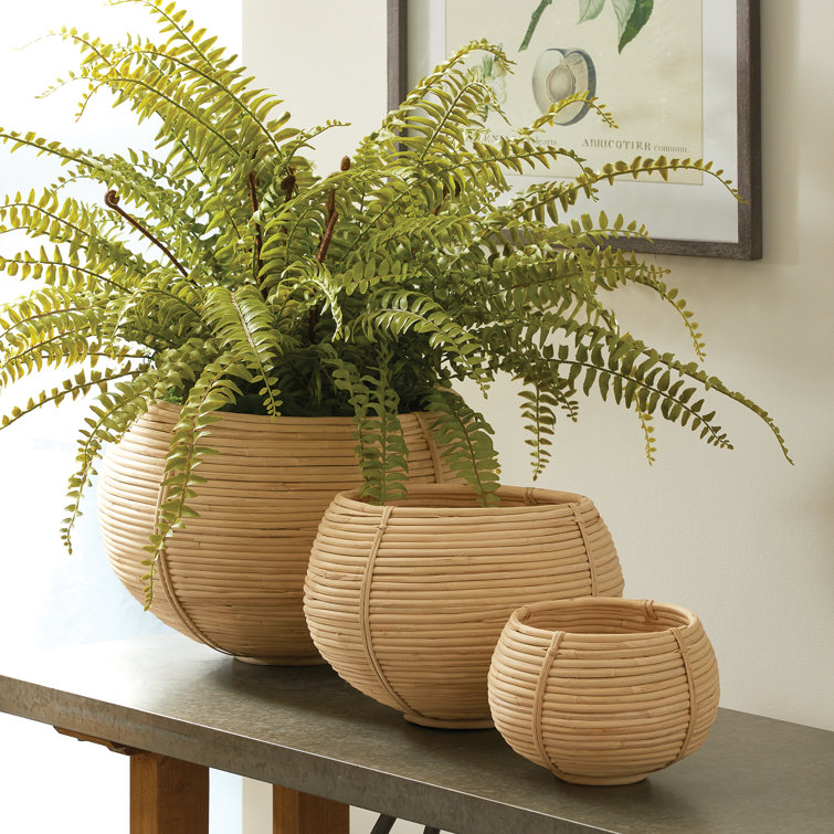 Round Natural Seagrass Storage Basket Set