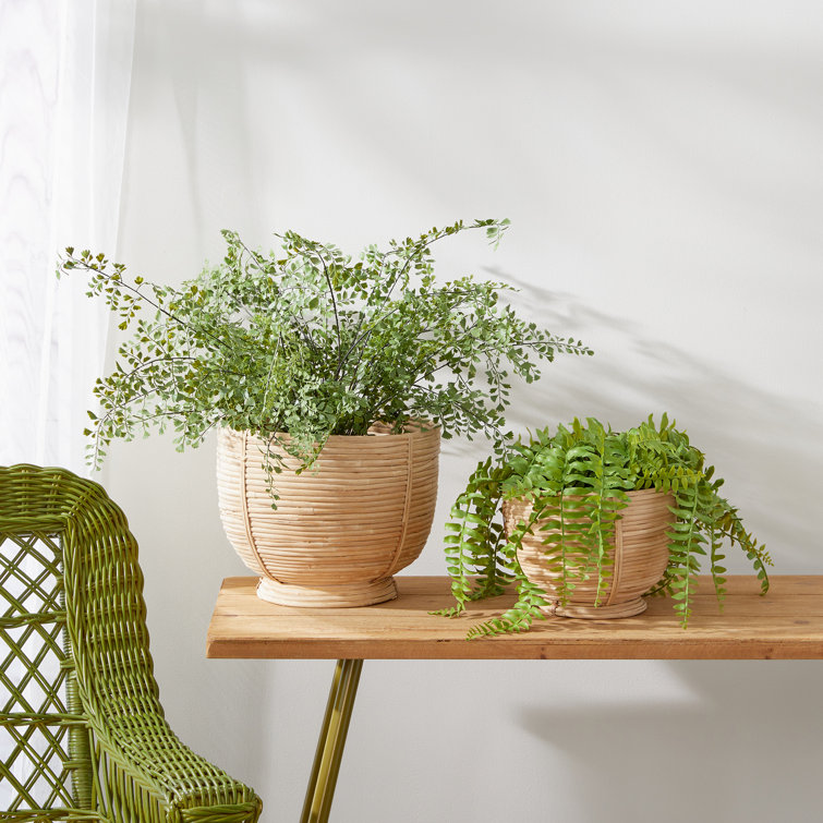 Mod Cane Rattan Light Finish Footed Decor Bowls, Set of 2