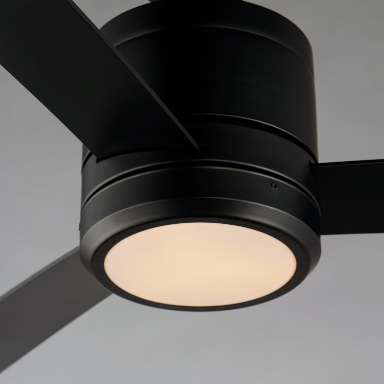52'' Black Maple 3-Blade Ceiling Fan with LED Light