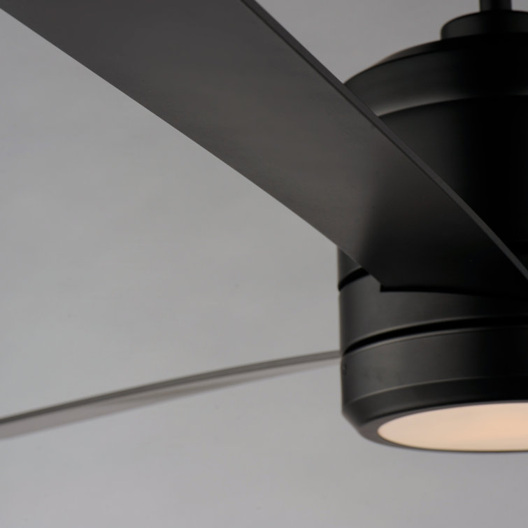 52'' Black Maple 3-Blade Ceiling Fan with LED Light