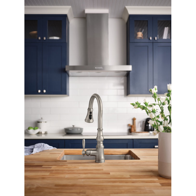 Stainless Steel Transitional Pull-Down Kitchen Faucet with Spray