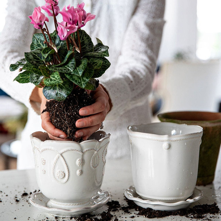 Whitewash Handcrafted Ceramic Planter with Saucer