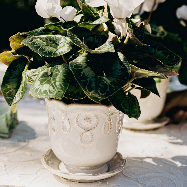 Whitewash Handcrafted Ceramic Planter with Saucer