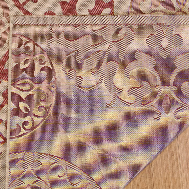 Emilia Red Medallion 8' x 10' Synthetic Indoor/Outdoor Area Rug