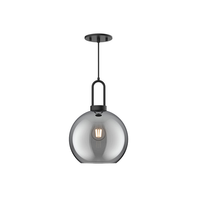 Matte Black and Smoke Glass Globe Pendant Light