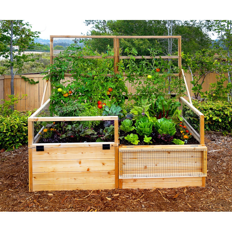 6 ft x 3 ft Cedar Raised Garden Bed with Wire Mesh