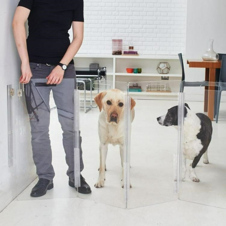 Clear Acrylic Zig Zag Wall Mounted Pet Gate with Metal Latch