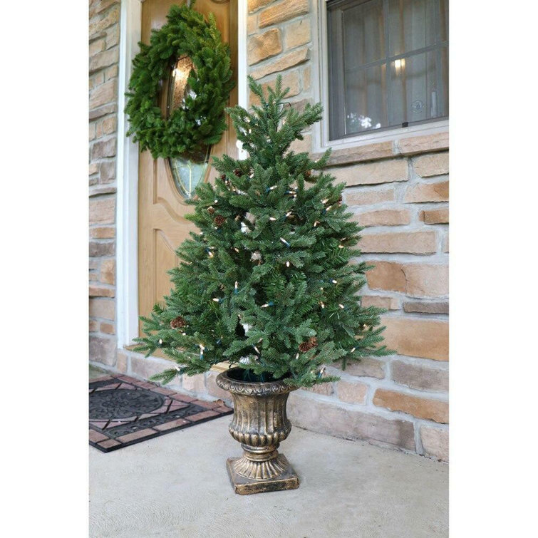 Noble Fir 4' Potted Christmas Tree with LED Lights
