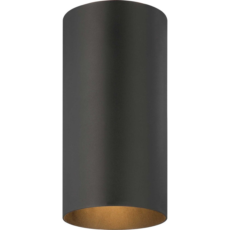 Black Aluminum 1-Light Flush Mount Ceiling Fixture