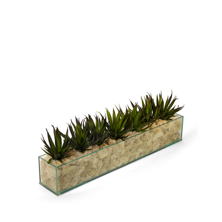 Long Clear Glass Planter with Green Artificial Agave Arrangement