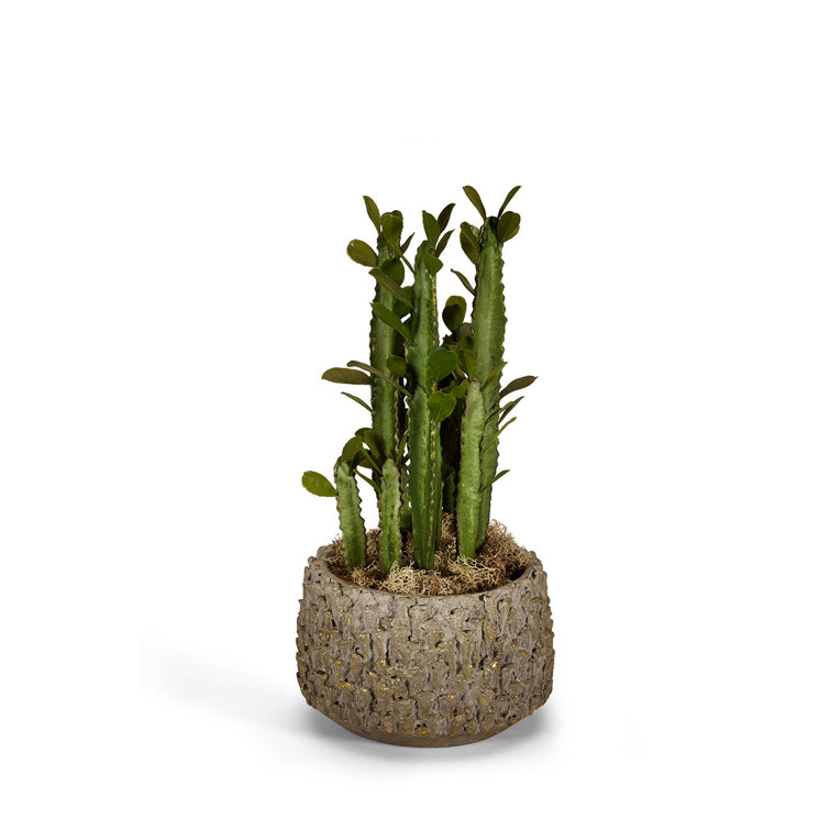 17'' Green Silk Cactus in Textured Clay Pot