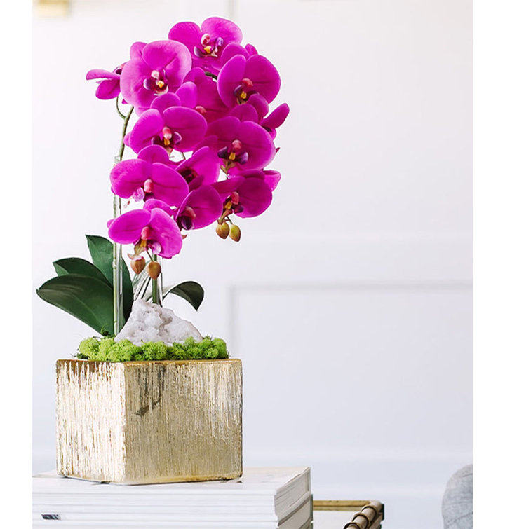 Elegant Green Orchid 21'' Floral Arrangement in Ceramic Planter