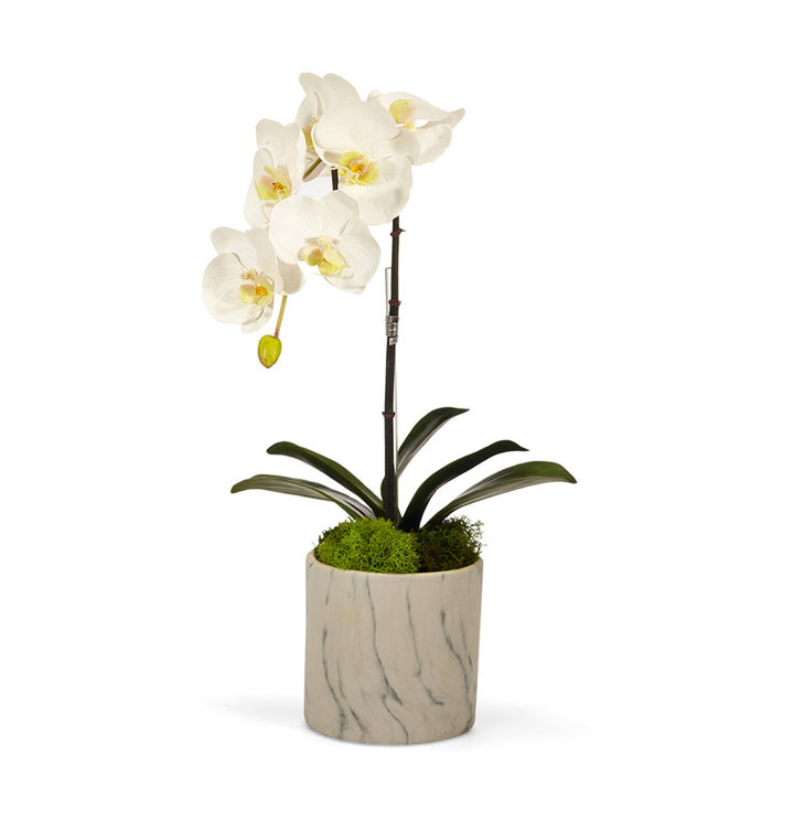 White Faux Orchid Arrangement in Marble Pot