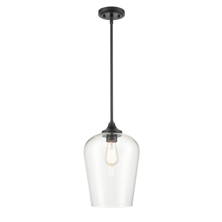 Ashford Mini-Pendant Light in Matte Black with Clear Glass Globe
